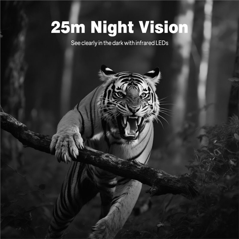 BTLIFE-Wildlife Surveillance 1 - Trail Camera Infrared recension och pris