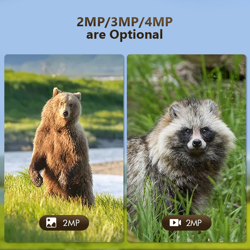 4G 4MP Outdoor Wildlife Huntin - Trail Camera Infrared recension och pris